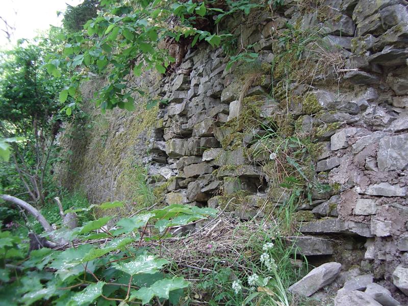 Part of the wall needing repaired 002