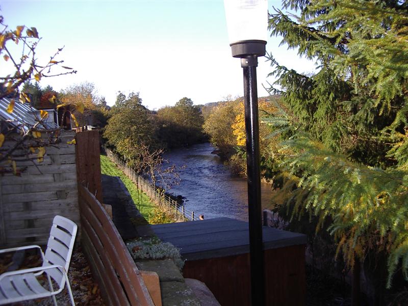 View from the patio area